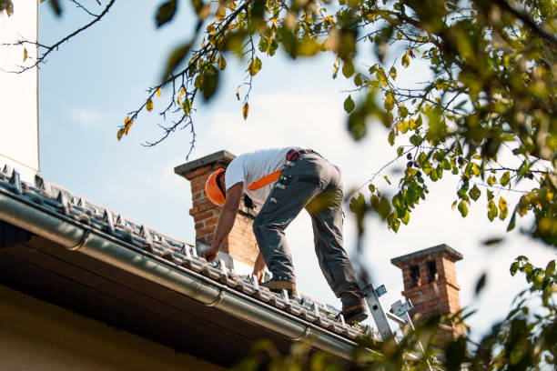 Roof Gutter Cleaning in Whitefish Bay, WI